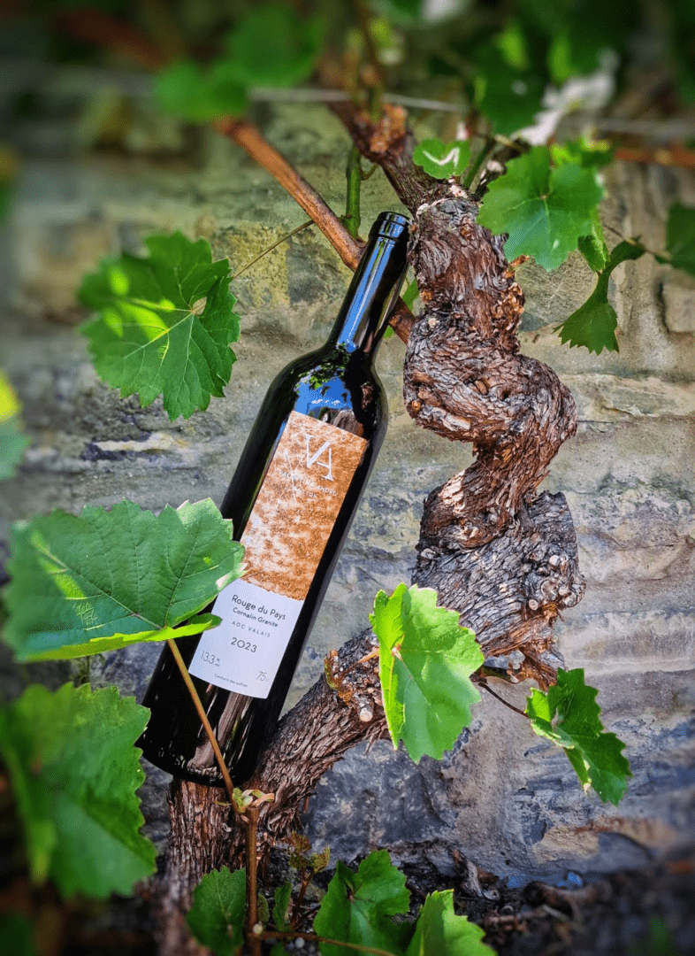 VA Cornalin-Granite 2023 VA Cornalin-Granite 2023